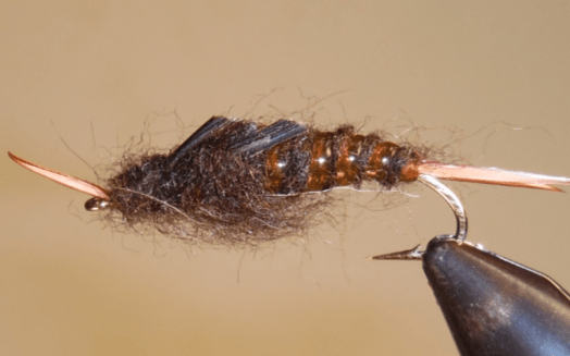 Giant Stonefly Nymphs - Get Tight Gear