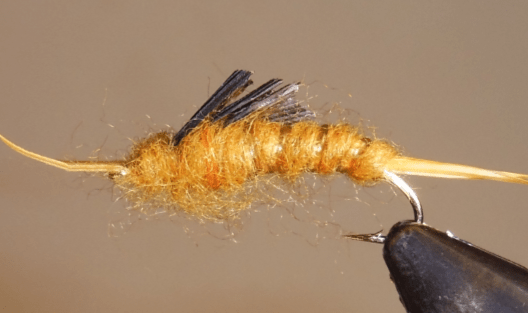 Giant Stonefly Nymphs - Get Tight Gear