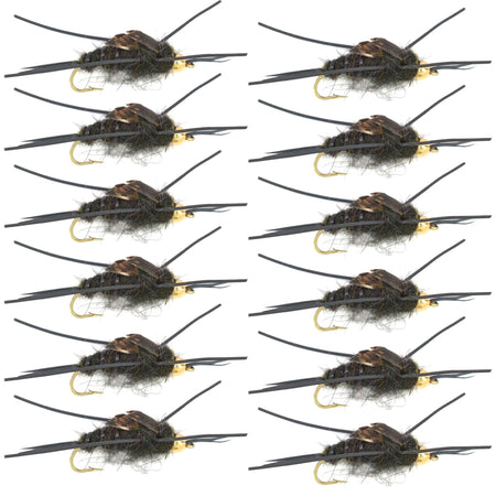 Gold Bead Kaufmann's Black Stone Fly with Rubber Legs - Stonefly Wet Fly - 1 Dozen Flies Hook Size 6 - Get Tight Gear