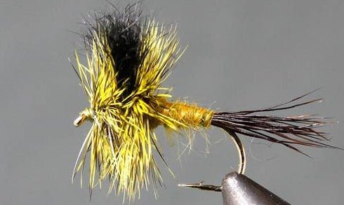 Green Drake Wulff - Get Tight Gear