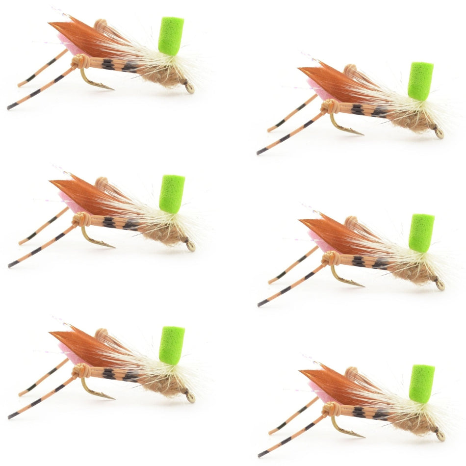 Green Top Hopper Foam Body Grasshopper Fly - 6 Flies Hook Size 10 - Get Tight Gear