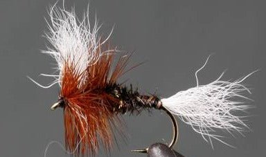 H & L Variant - Get Tight Gear