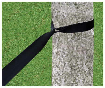 Hammock Bliss Tree Straps - Get Tight Gear
