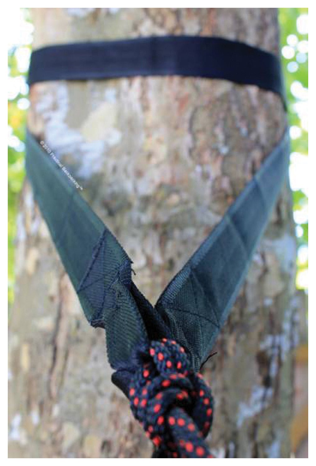 Hammock Bliss Tree Straps - Get Tight Gear