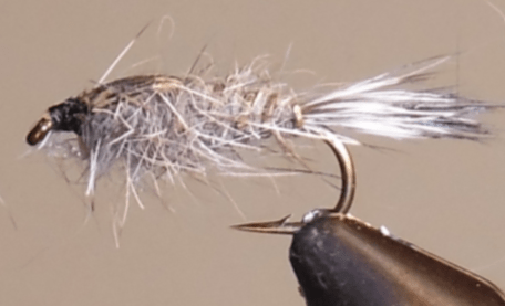 Hare's Ear - Dark Grey - Get Tight Gear