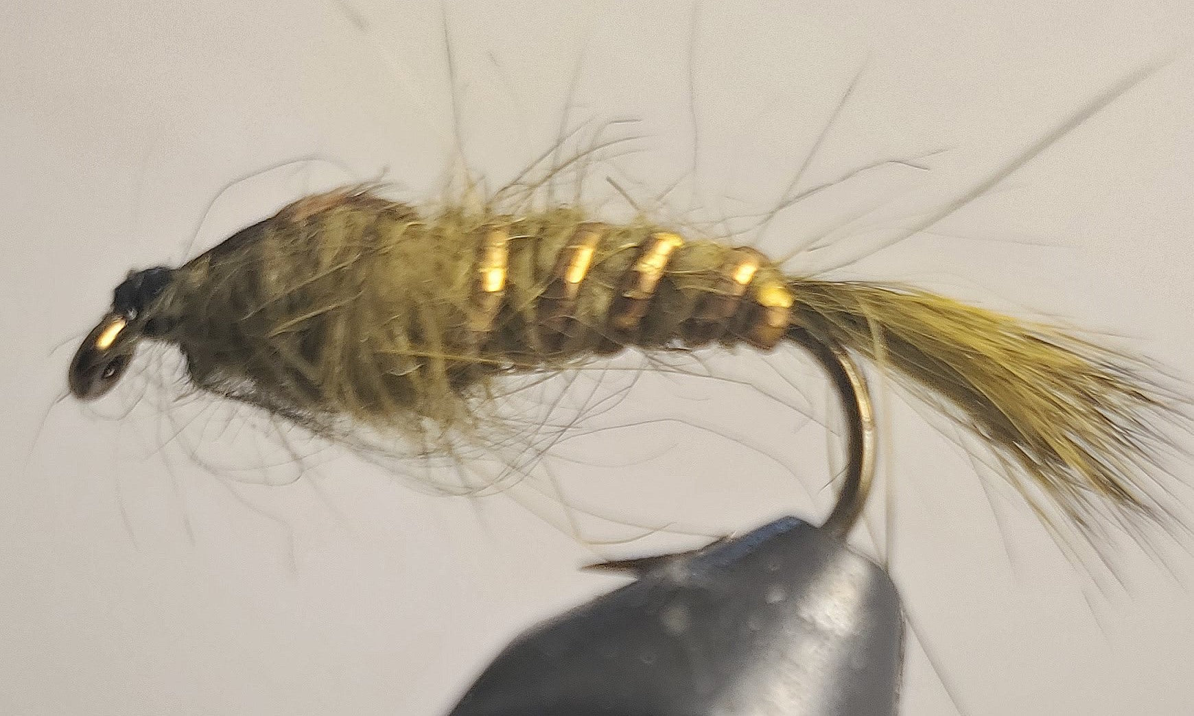 Hare's Ear - Olive - Get Tight Gear
