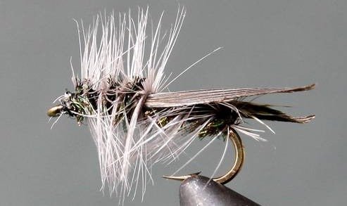 Hemingway Caddis - Get Tight Gear