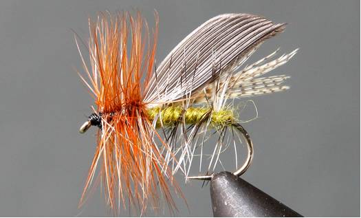 Henryville Caddis - Get Tight Gear