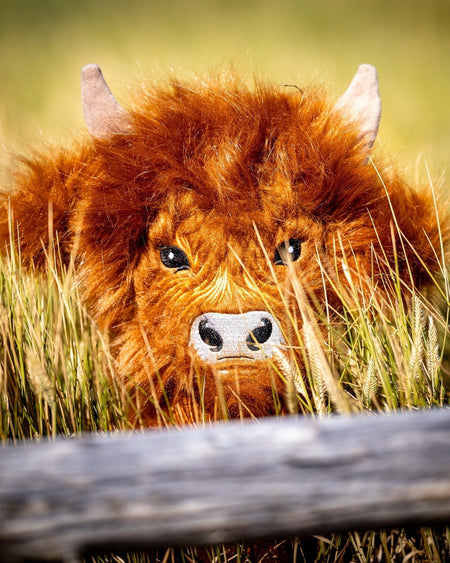 Highland Cow - Driver Cover - Get Tight Gear