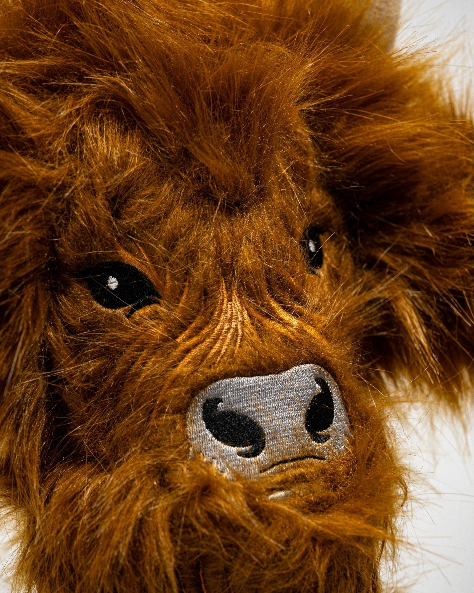 Highland Cow - Driver Cover - Get Tight Gear
