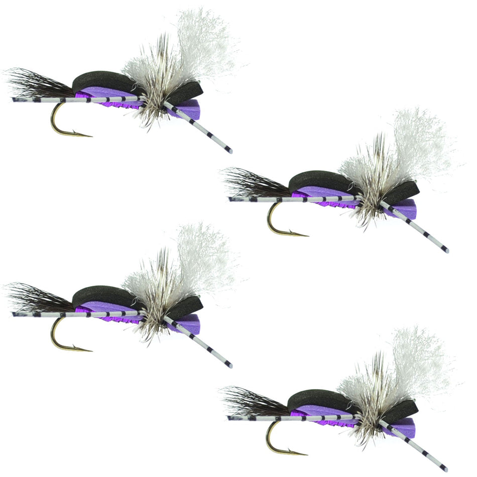 Hippie Stomper Black Purple Foam Body Grasshopper Dry Fly - 4 Flies Size 10 - Get Tight Gear