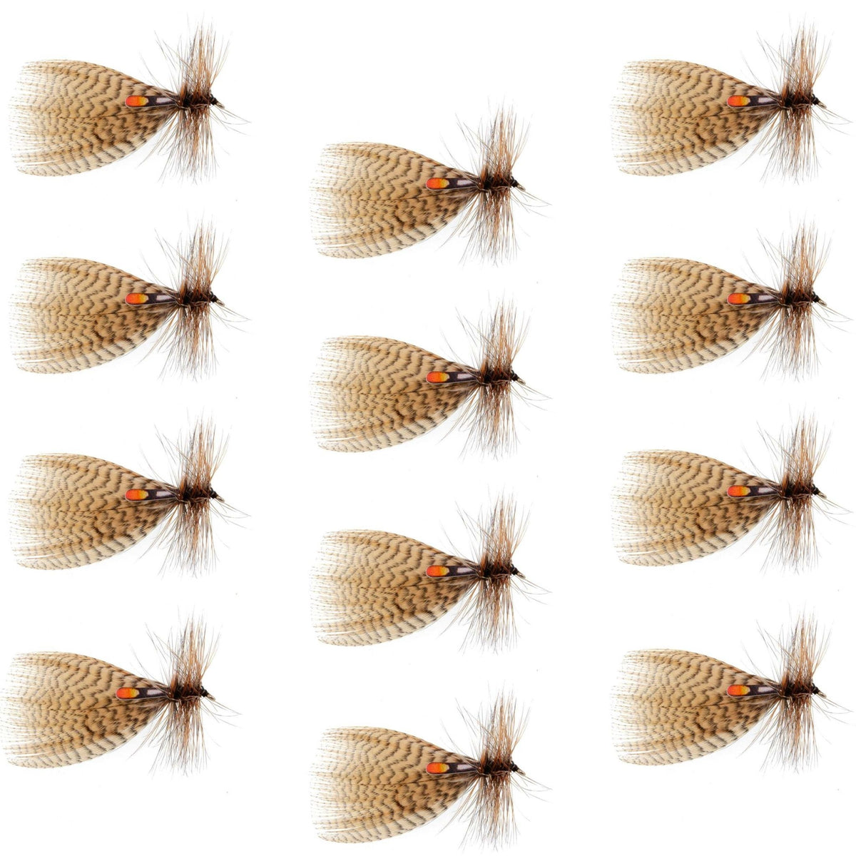 Hornberg Special Trout and Bass Streamer or Dry Fly - 12 Flies - Hook Size 12 - Get Tight Gear