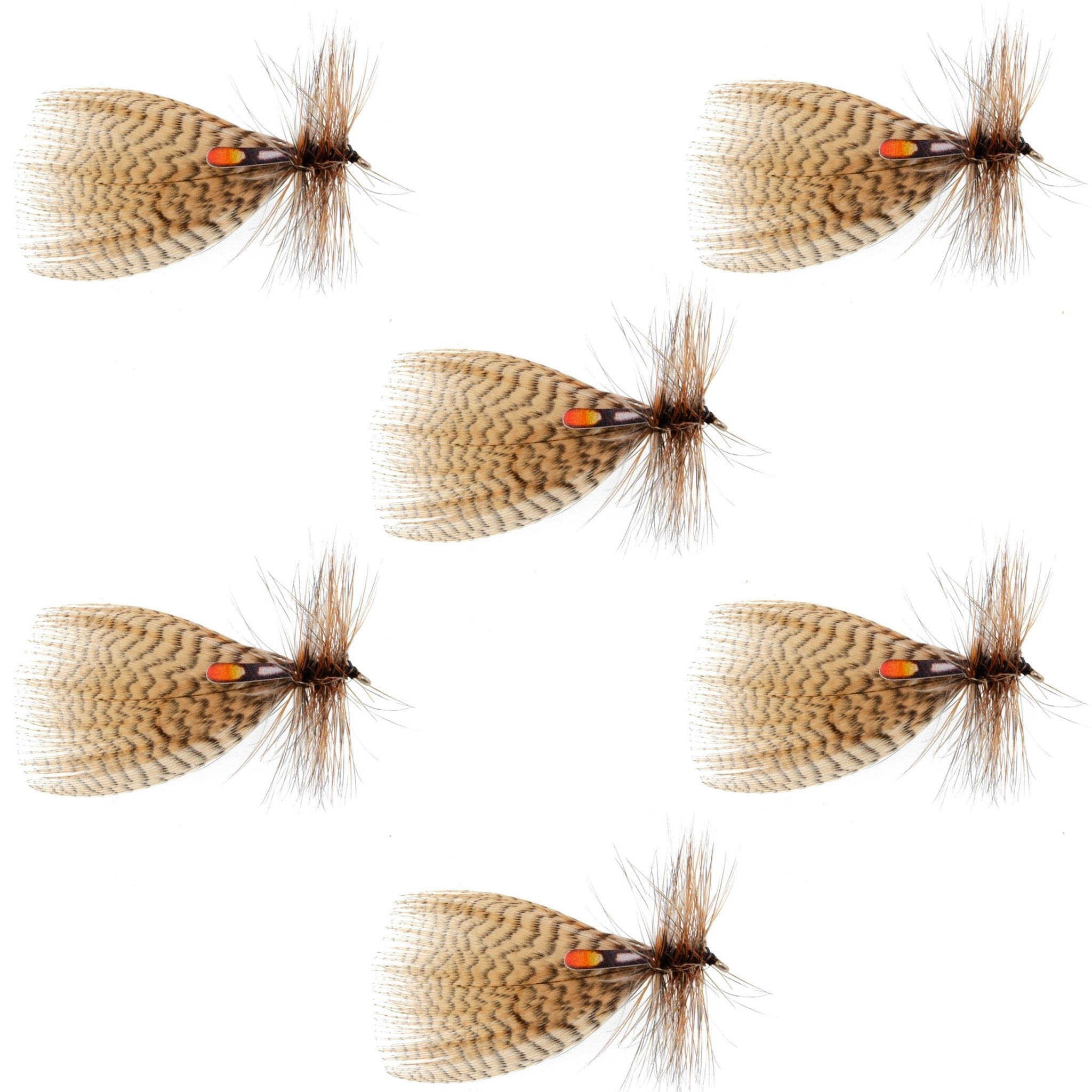 Hornberg Special Trout and Bass Streamer or Dry Fly - 6 Flies - Hook Size 6 - Get Tight Gear