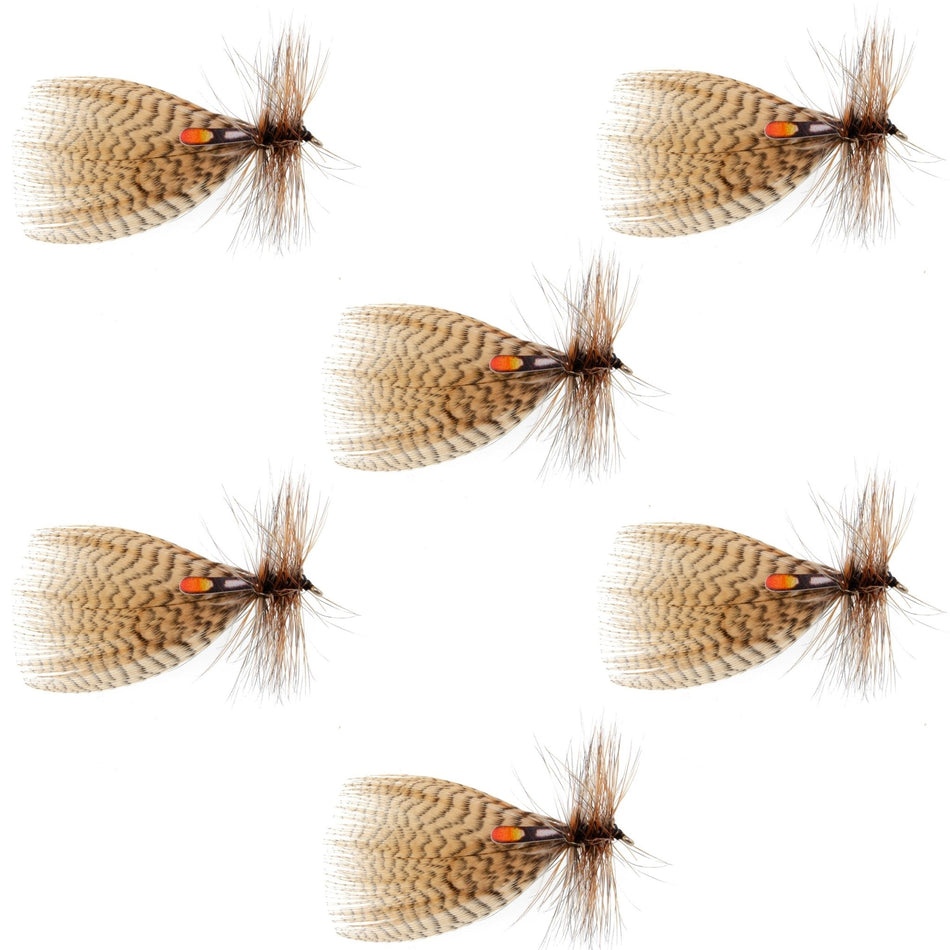 Hornberg Special Trout and Bass Streamer or Dry Fly - 6 Flies - Hook Size 6 - Get Tight Gear