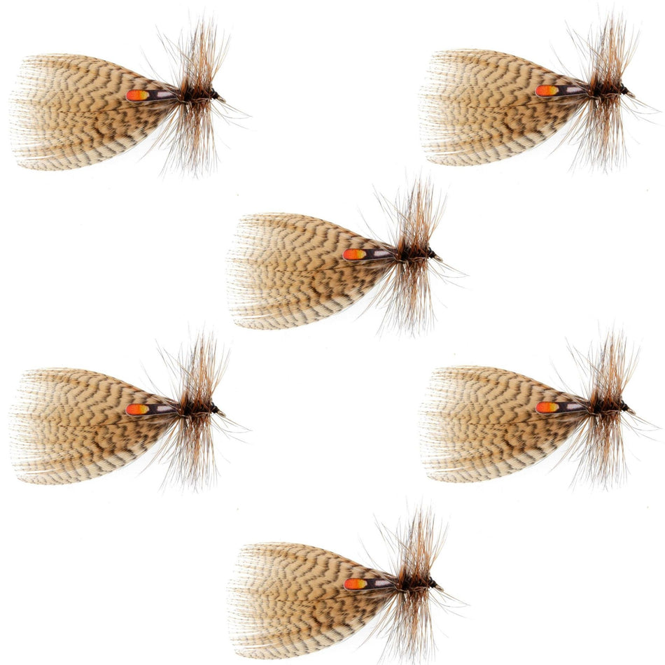 Hornberg Special Trout and Bass Streamer or Dry Fly - 6 Flies - Hook Size 8 - Get Tight Gear