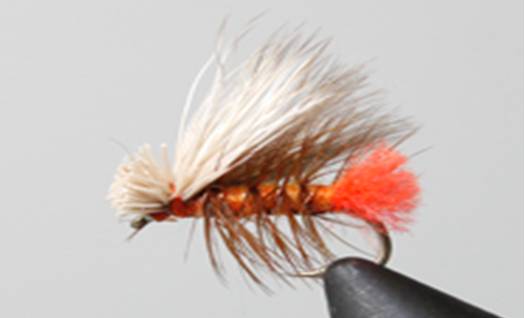 Hot Butt Caddis - Get Tight Gear