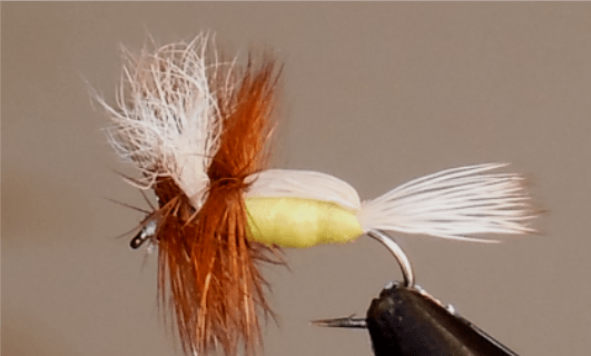 Humpy - 8 Colors - Get Tight Gear