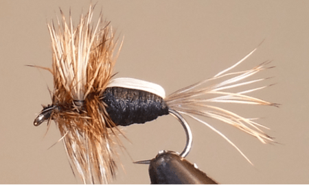 Humpy - 8 Colors - Get Tight Gear