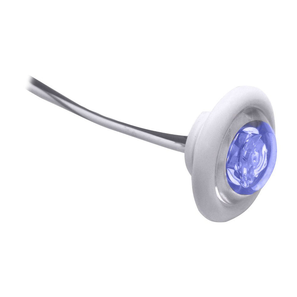 Innovative Lighting LED Bulkhead/Livewell Light "The Shortie" Blue LED w/ White Grommet - Get Tight Gear
