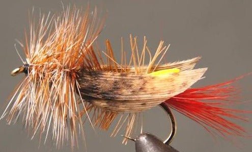 Joe’s Foam Hopper - Get Tight Gear
