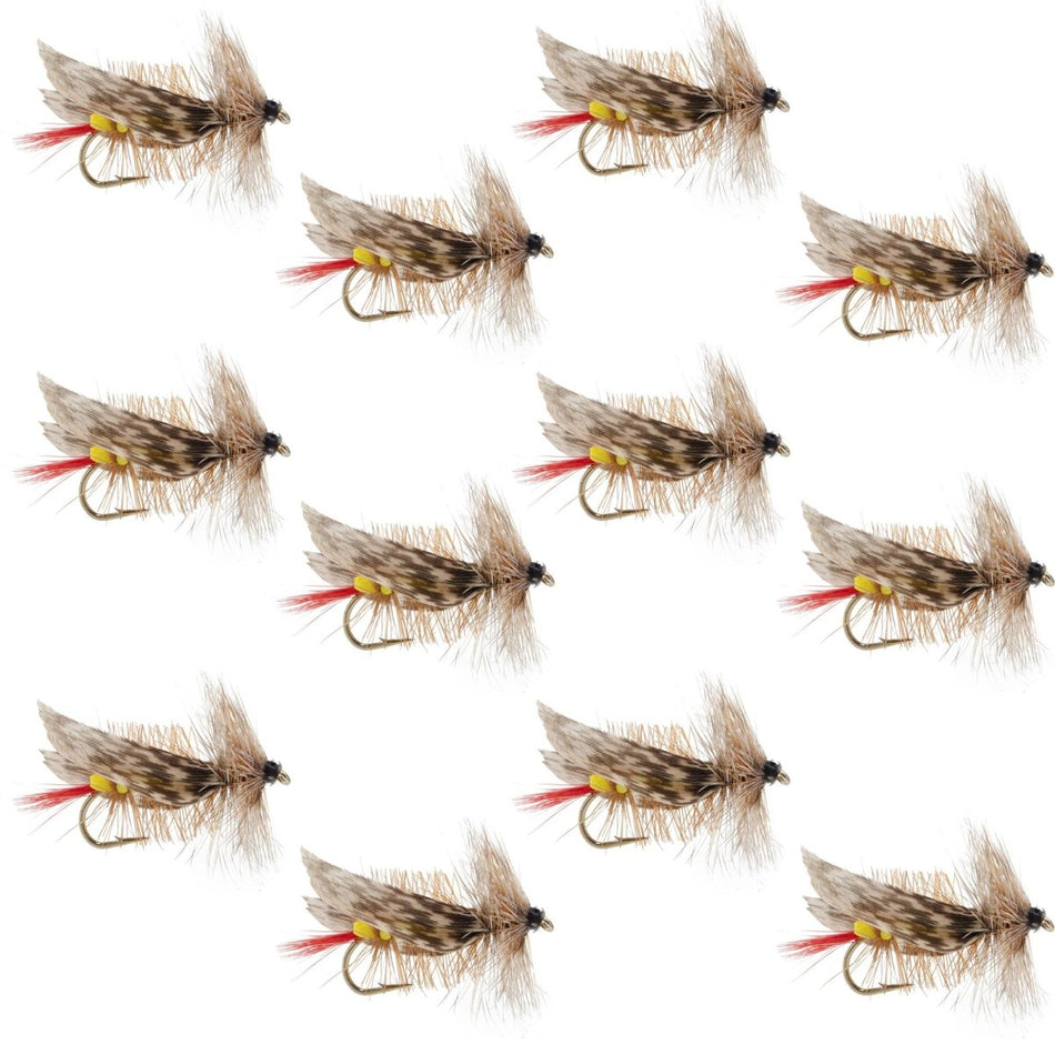 Joe's Hopper Yellow Foam Body Grasshopper Fly - 1 Dozen Flies Hook Size 8 - Get Tight Gear