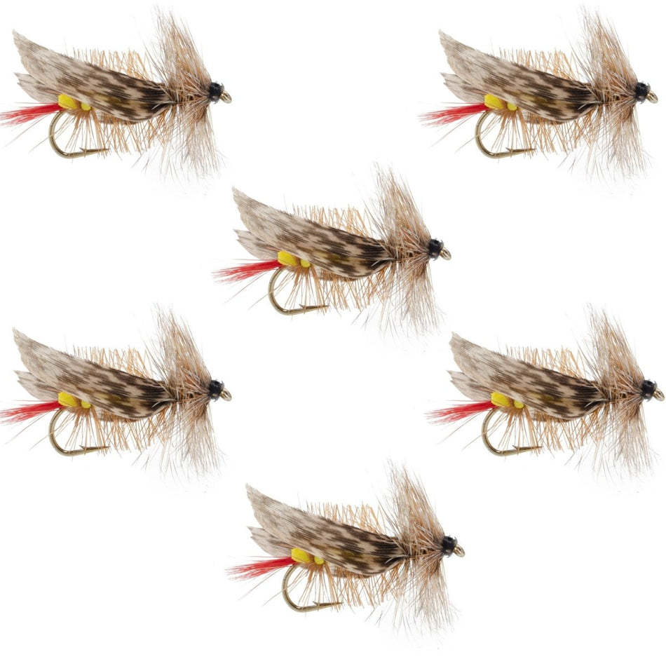 Joe's Hopper Yellow Foam Body Grasshopper Fly - 6 Flies Hook Size 8 - Get Tight Gear