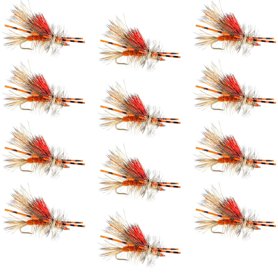 Kaufmann's Orange Crystal Stimulator Rubber Legs Dry Fly - 1 Dozen Flies Hook Size 12 - Get Tight Gear