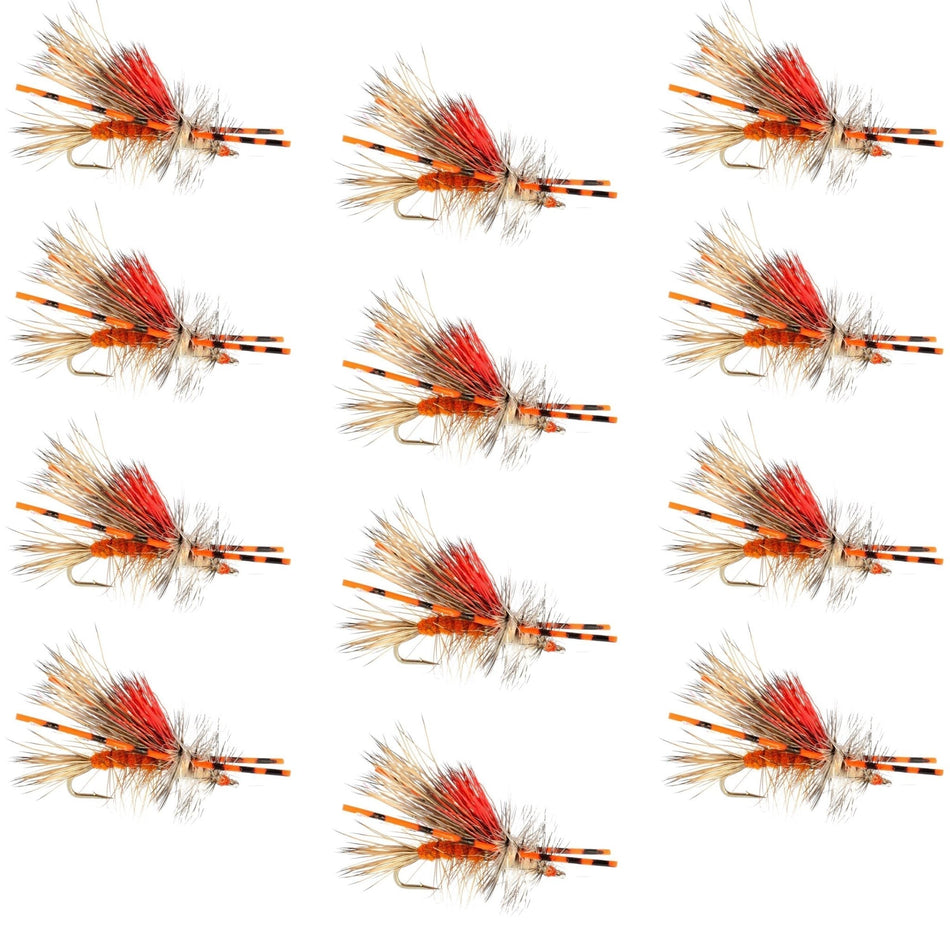 Kaufmann's Orange Crystal Stimulator Rubber Legs Dry Fly - 1 Dozen Flies Hook Size 8 - Get Tight Gear