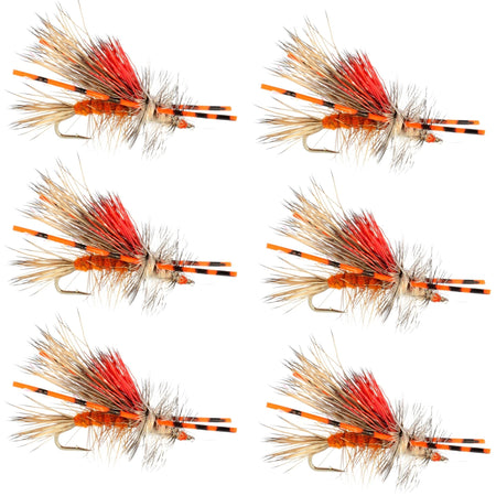 Kaufmann's Orange Crystal Stimulator Rubber Legs Dry Fly - 6 Flies Hook Size 10 - Get Tight Gear