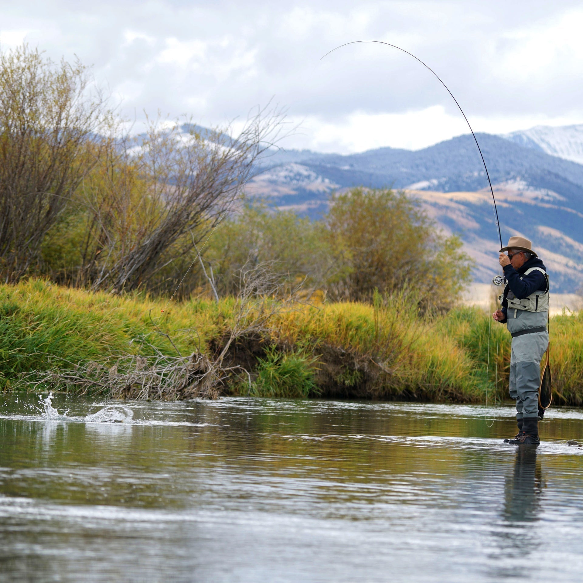 Kaufmann's Orange Crystal Stimulator Rubber Legs Dry Fly - 6 Flies Hook Size 12 - Get Tight Gear