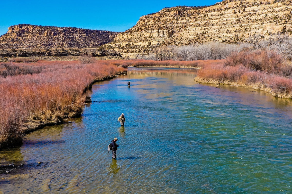Kaufmann's Yellow Crystal Stimulator Rubber Legs Dry Fly - 6 Flies Hook Size 8 - Get Tight Gear