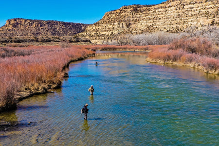 Kaufmann's Yellow Crystal Stimulator Rubber Legs Dry Fly - 6 Flies Hook Size 8 - Get Tight Gear