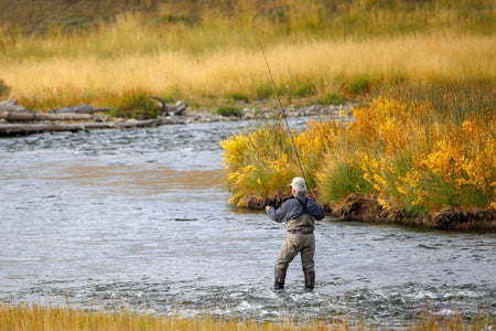 Kaufmann's Yellow Crystal Stimulator Rubber Legs Dry Fly - 6 Flies Hook Size 8 - Get Tight Gear