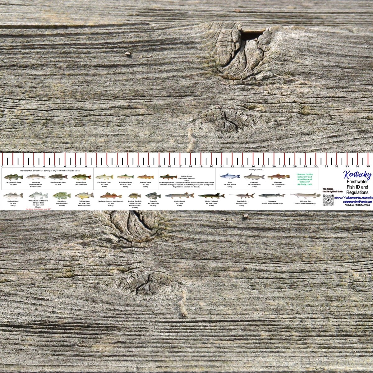 KENTUCKY FRESH WATER 36 INCH FISH ID AND STATE REGULATIONS FISH RULER DECAL - Get Tight Gear