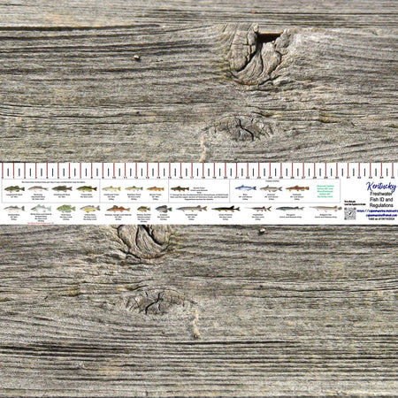 KENTUCKY FRESH WATER 36 INCH FISH ID AND STATE REGULATIONS FISH RULER DECAL - Get Tight Gear