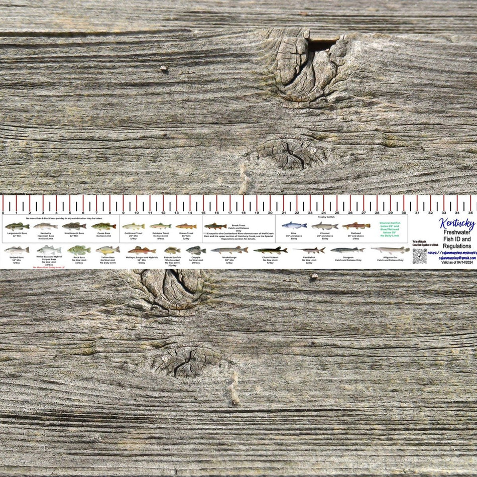 KENTUCKY FRESH WATER 36 INCH FISH ID AND STATE REGULATIONS FISH RULER DECAL - Get Tight Gear