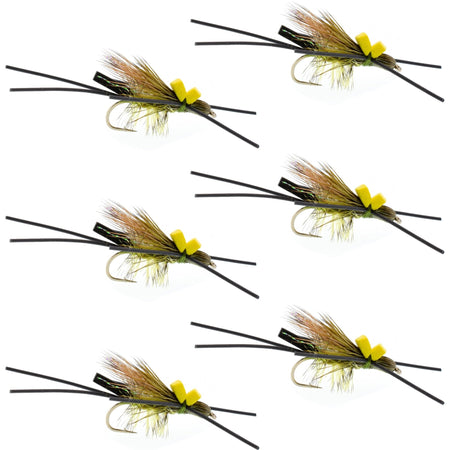 Long Tail Skwala Stone Fly Dry Trout Flies - Adult Squalla Stonefly Dry Fly - 6 Flies Hook Size 10 - Get Tight Gear