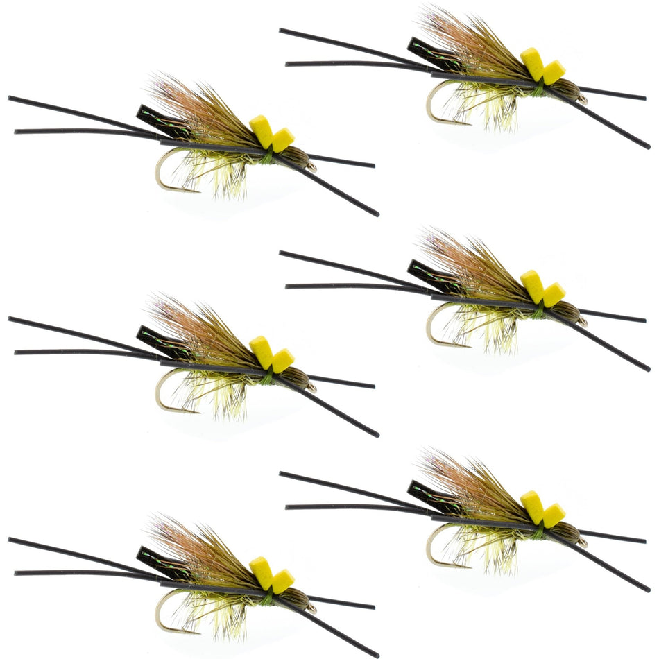 Long Tail Skwala Stone Fly Dry Trout Flies - Adult Squalla Stonefly Dry Fly - 6 Flies Hook Size 10 - Get Tight Gear