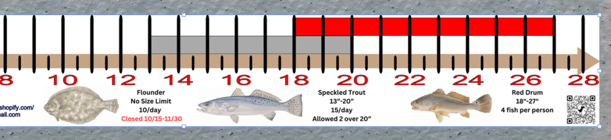 Louisiana Inshore Fishing Slot Ruler Decal - Get Tight Gear
