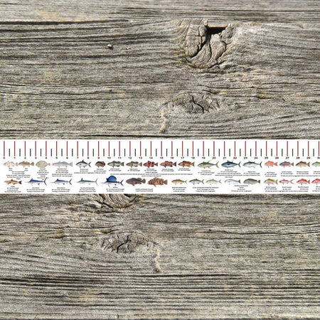 LOUISIANA SALT WATER RULER 50 INCH FISH ID AND STATE REGULATIONS FISH RULER DECAL - Get Tight Gear