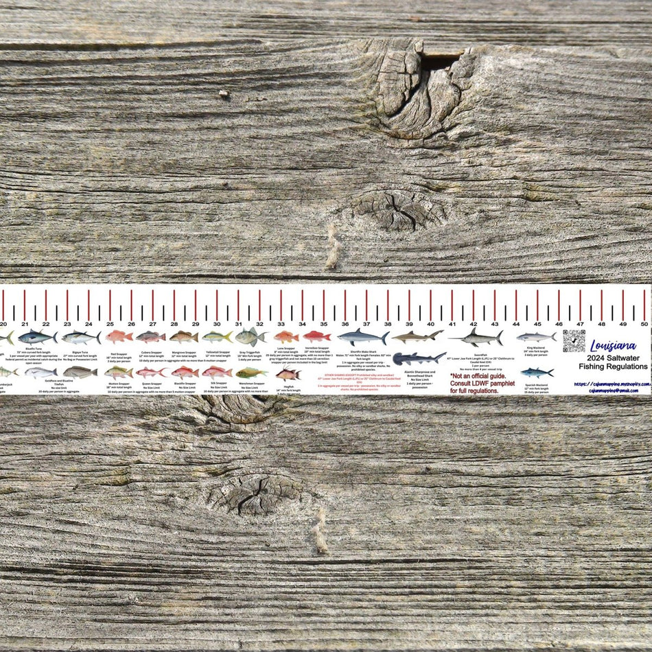 LOUISIANA SALT WATER RULER 50 INCH FISH ID AND STATE REGULATIONS FISH RULER DECAL - Get Tight Gear