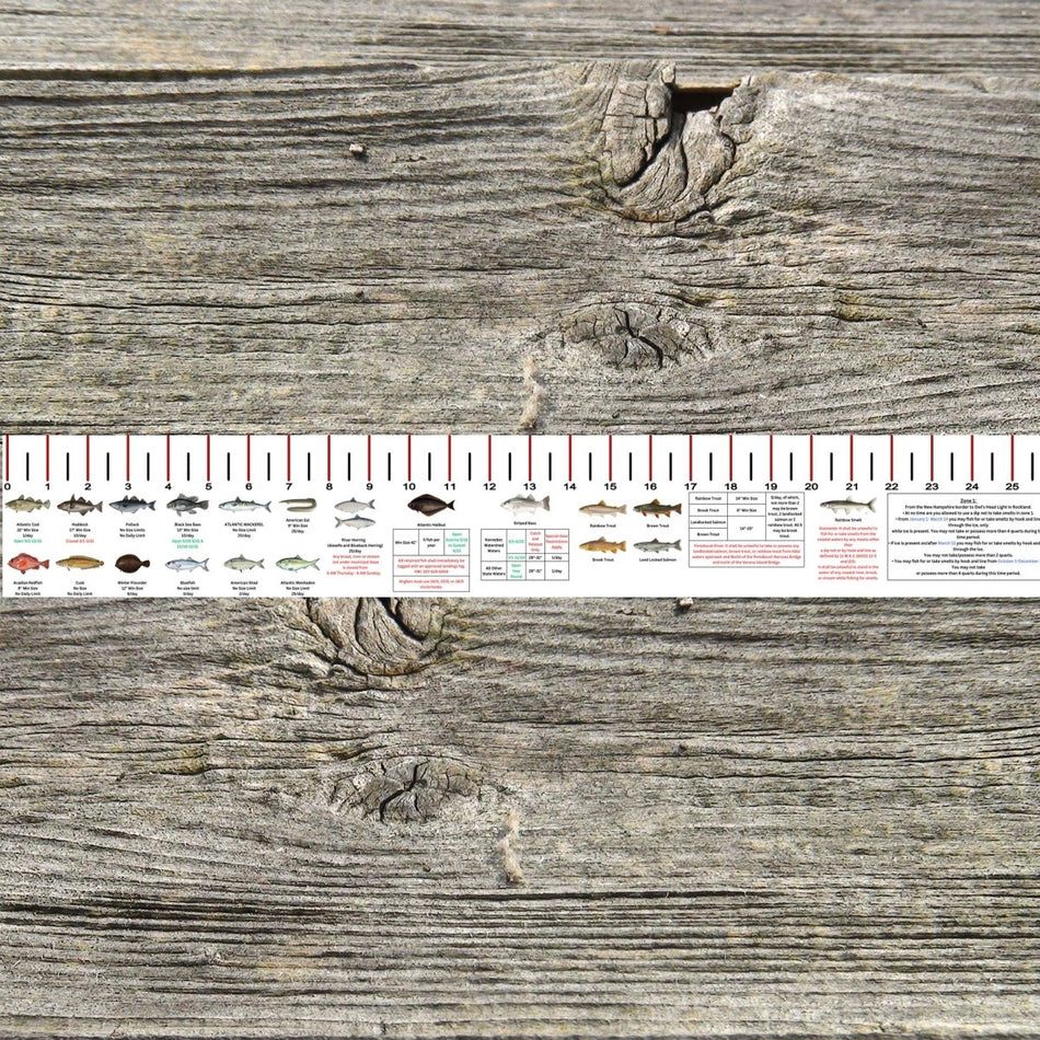MAINE SALT WATER RULER 50 INCH FISH ID AND STATE REGULATIONS FISH RULER DECAL - Get Tight Gear