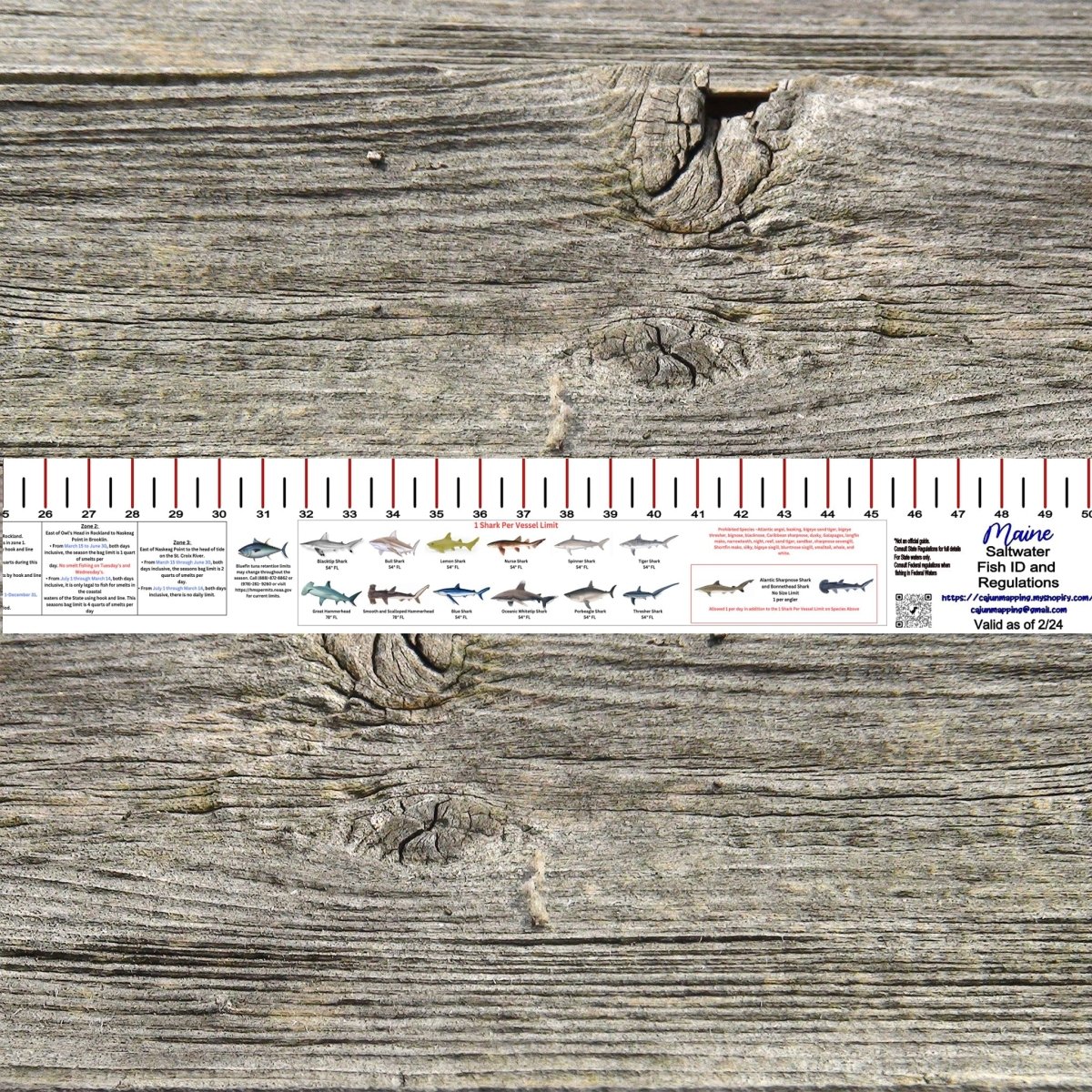 MAINE SALT WATER RULER 50 INCH FISH ID AND STATE REGULATIONS FISH RULER DECAL - Get Tight Gear