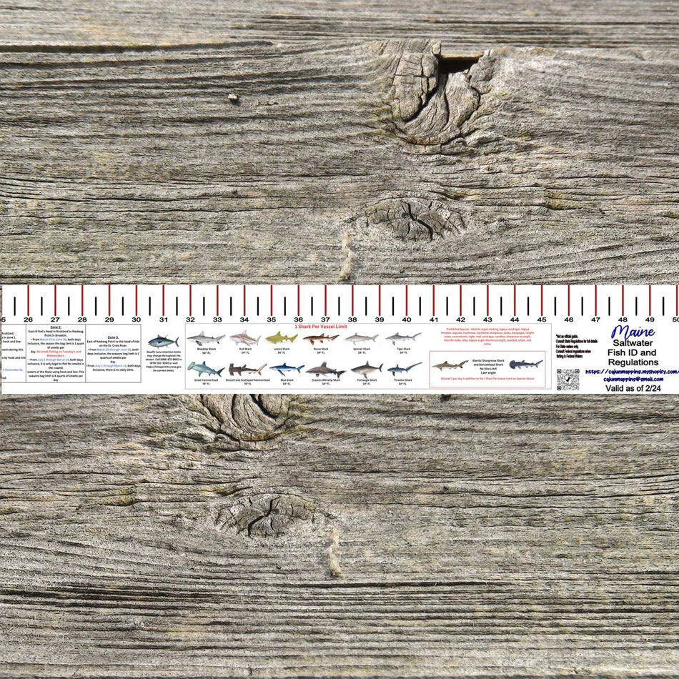 MAINE SALT WATER RULER 50 INCH FISH ID AND STATE REGULATIONS FISH RULER DECAL - Get Tight Gear
