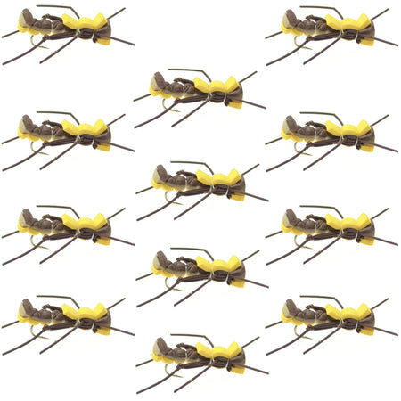 Mantis BLT Foam Body Grasshopper Fly - 1 Dozen Flies Hook Size 10 - Get Tight Gear