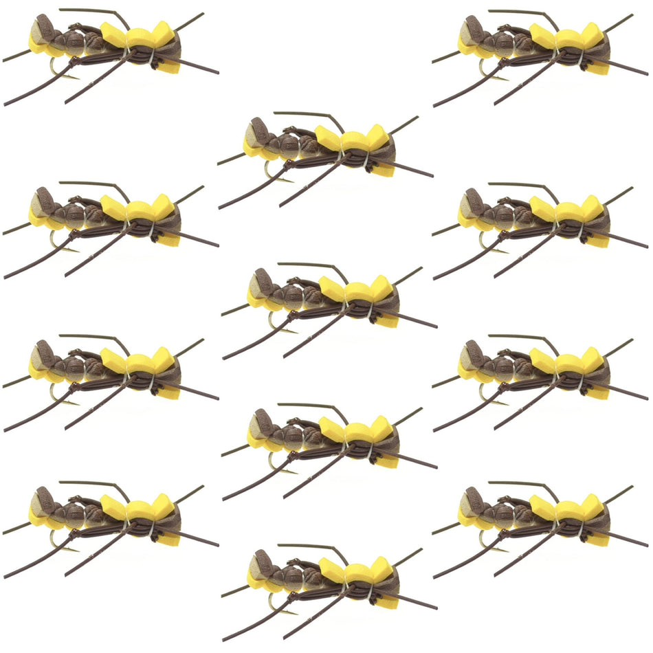 Mantis BLT Foam Body Grasshopper Fly - 1 Dozen Flies Hook Size 10 - Get Tight Gear