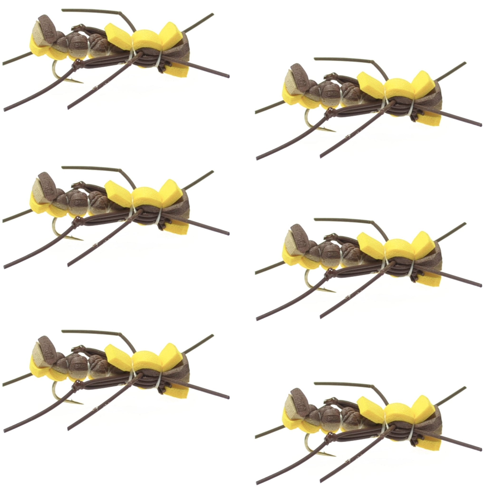 Mantis BLT Foam Body Grasshopper Fly - 6 Flies Hook Size 10 - Get Tight Gear