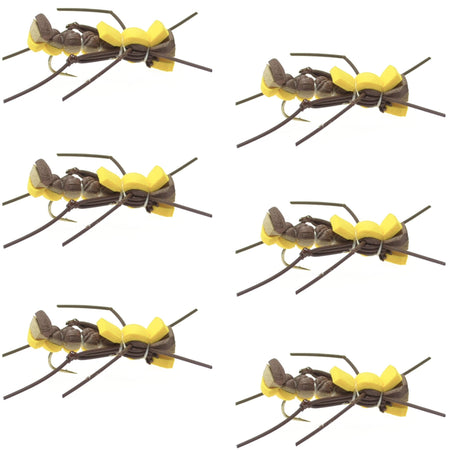 Mantis BLT Foam Body Grasshopper Fly - 6 Flies Hook Size 10 - Get Tight Gear
