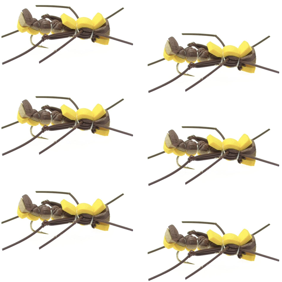 Mantis BLT Foam Body Grasshopper Fly - 6 Flies Hook Size 10 - Get Tight Gear