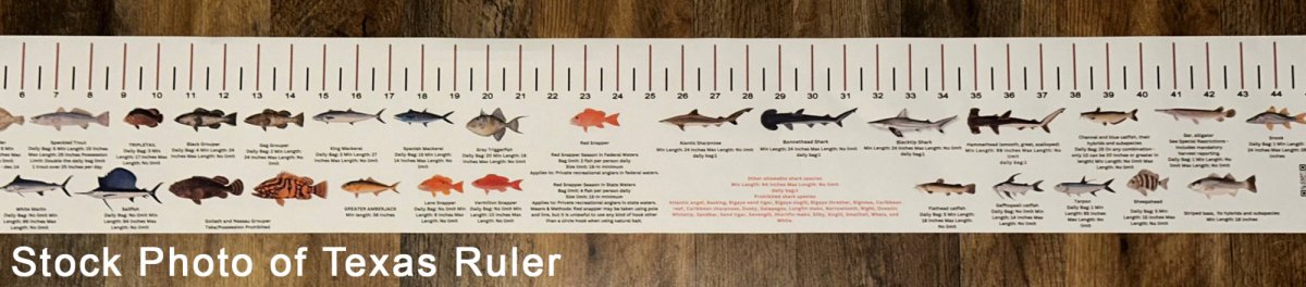 MARYLAND SALT WATER RULER 50 INCH FISH ID AND STATE REGULATIONS FISH RULER DECAL - Get Tight Gear